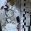 В Перегинском мужчина взорвал гранату