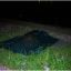В Киеве в озере Вира утонул мужчина. Появилось видео