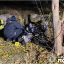 У селі Пришибв ДТП загинули двоє молодих людей. Поліція встановлює обставини