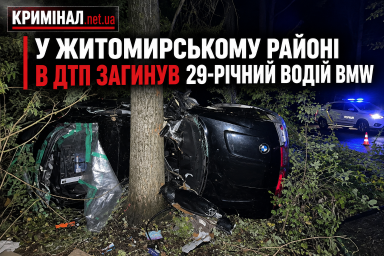 У Житомирському районі в ДТП загинув 29-річний водій BMW У Житомирському районі в ДТП загинув 29-річний водій BMW