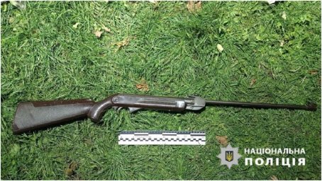 В Березівському районі ведеться кримінальне провадження за фактом вбивства собаки