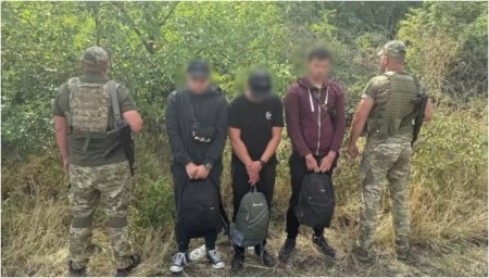 З’явилося відео затримання на Одещині порушників кордону, які ховались у соняшниках