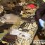 В Луцке у мужчины изъяли арсенал оружия