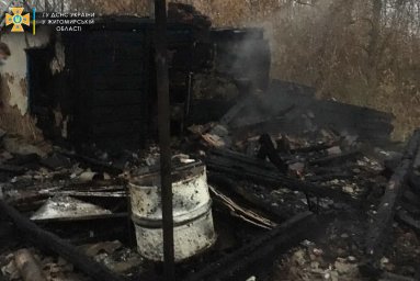 При пожаре в Житомирской области погибла пожилая женщина