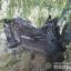 В ДТП на Черниговщине погибли два человека