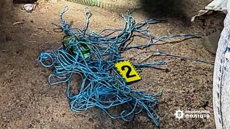 В Білгороді-Дністровському неповнолітня дівчина «виховувала» брата катуванням. З’явилось відео