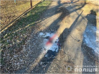 У місті Апостолове чоловік побив знайомого  до смерті