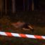 В Днепре возле детского сада обнаружен труп мужчины