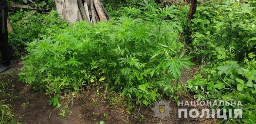 В Харькове мужчина ранил полицейского осколком стекла