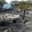 В Харьковской области на пожарище найдено тело мертвой пенсионерки