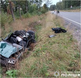На трасі «Червоноград-Белз-Угнів-Рава-Руська» внаслідок зіткнення з твариною сталося смертельне ДТП