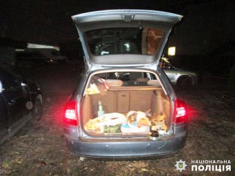 У Бердичіві затримали крадія «на гарячому»