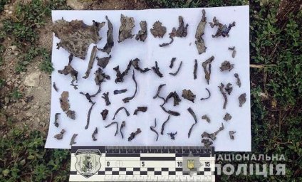 В Авдеевке выясняют обстоятельства взрыва при проведении полевых работ