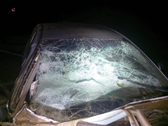 В ДТП у Львівській області постраждала сім’я з трьох осіб