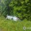 У селі Залужжя в ДТП загинув громадянин Польщі. Поліція встановлює обставини
