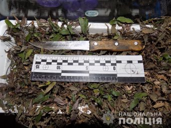 В Ужгороде мужчина ударил знакомого ножом