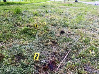 У Павлограді за скоєння умисного вбивства затримано чоловіка