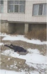 В Черноморске студент совершил суицид, спрыгнув с 20 этажа