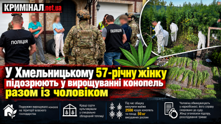 У Хмельницькому 57-річну жінку підозрюють у вирощуванні конопель разом із чоловіком У Хмельницькому 57-річну жінку підозрюють у вирощуванні конопель разом із чоловіком