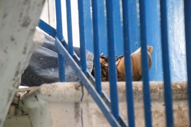 В центре Киева мужчина покончил с собой