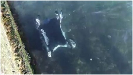 В Одессе ураганным ветром сдуло в море коляску с ребенком