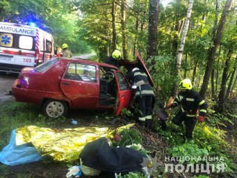 Смертельное ДТП в Житомирской области