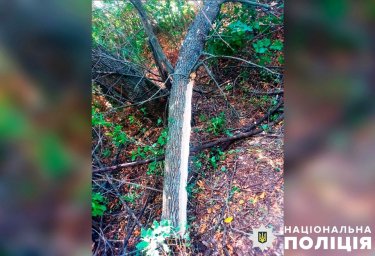 У Полтавській області розслідують смертельний нещасний випадок