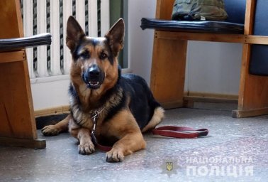 В Бахмуте полицейские проверили информацию о минировании здания суда