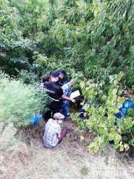 В Киевской области подросток убил ребенка
