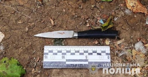 В Одесской области мужчина ударил ножом односельчанку В Одесской области мужчина ударил ножом односельчанку