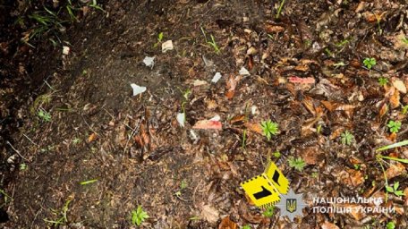 Троє підлітків на Івано-Франківщині вбили місцевого жителя. З'явилося відео
