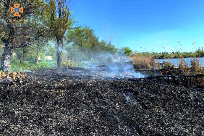 У Кривому Розі через пожежу постраждало двоє дітей