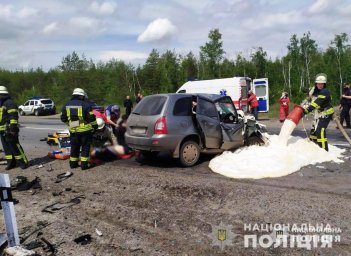 Смертельное ДТП в Донецкой области