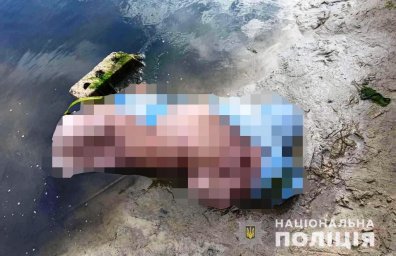 В Днепропетровской области обнаружен труп женщины В Днепропетровской области обнаружен труп женщины