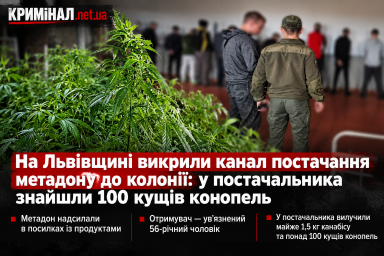 На Львівщині викрили канал постачання метадону до колонії: у постачальника знайшли 100 кущів конопель На Львівщині викрили канал постачання метадону до колонії: у постачальника знайшли 100 кущів конопель