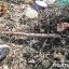 В Ромнах мужчина убил жену