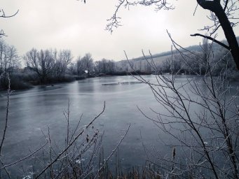 На Закарпатье из водоема извлекли тела двух мужчин