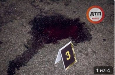 В Киеве произошло ДТП - дама с собачкой попала под Opel. Фото