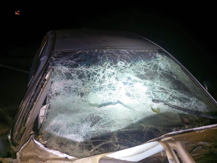 В ДТП у Львівській області постраждала сім’я з трьох осіб