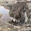 Смертельное ДТП в Запорожье