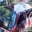 В ДТП на Закарпатье погибли два человека