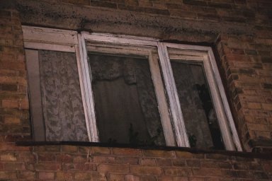 В Голосеевском районе Киева из огня спасли двух человек