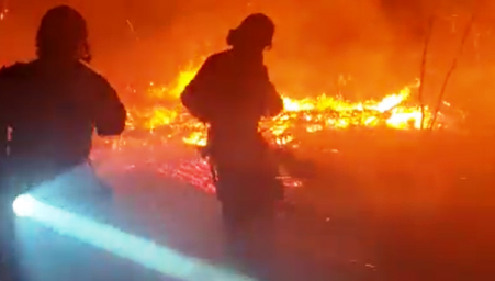 В Черноморске горела база отдыха В Черноморске горела база отдыха