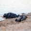 В Киеве женщине на пляже Приречный, когда она находилась в воде стало плохо. Появилось видео