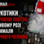 Наркотики відправляв поштою: у Кривому Розі затримали 24-річного чоловіка