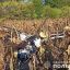 В Сумской области разбился самолет