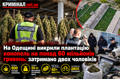 На Одещині викрили плантацію конопель на понад 60 мільйонів гривень: затримано двох чоловіків На Одещині викрили плантацію конопель на понад 60 мільйонів гривень: затримано двох чоловіків