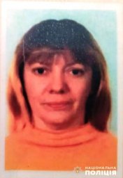 В Житомирской области разыскивают пропавшую без вести женщину