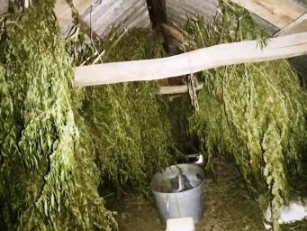 В Полтавской области у мужчины изъято большое количество наркотиков