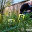 Во Львове расследуют убийство женщины